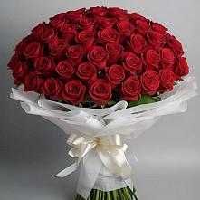 Букет 101 Красная роза Блэк Мэджик в Федоровка Тульская область