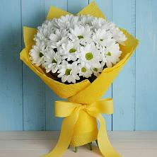 Букет цветов из:  Хризантемы в Федоровка Тульская область