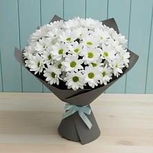 Букет цветов из:  Хризантемы в Федоровка Тульская область