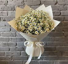 Букет цветов из:  Ромашки #REPLACE_PRED# Федоровка Тульская область
