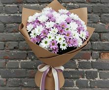 Букет цветов из:  Хризантемы в Федоровка Тульская область