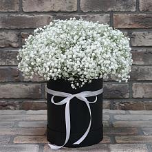 Цветочная композиция из Гипсофила в шляпной коробке в Федоровка Тульская область