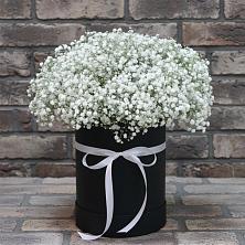 Цветочная композиция из Гипсофила в шляпной коробке в Федоровка Тульская область