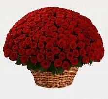 Премиум букет из: Розы в Федоровка Тульская область