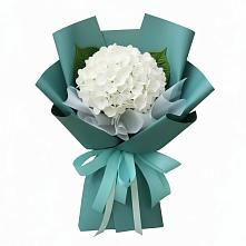Букет цветов из:  Гортензия в Федоровка Тульская область